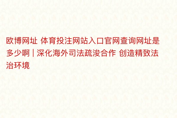 欧博网址 体育投注网站入口官网查询网址是多少啊 | 深化海外司法疏浚合作 创造精致法治环境