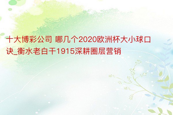 十大博彩公司 哪几个2020欧洲杯大小球口诀_衡水老白干1915深耕圈层营销